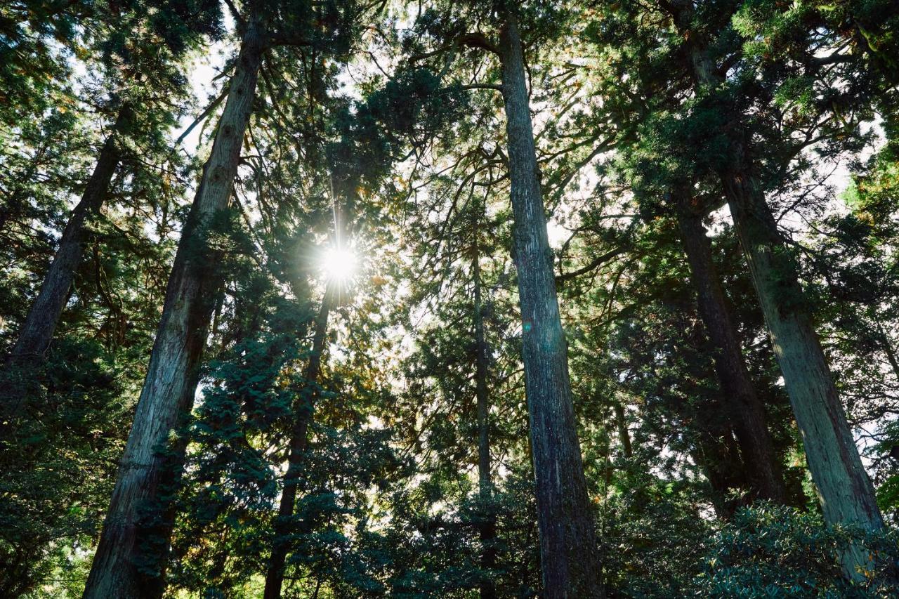 Villa Hakone Kabuto 古民家旅館 150平米 バス停迄一分 準天然温泉 最大12名 Zewnętrze zdjęcie