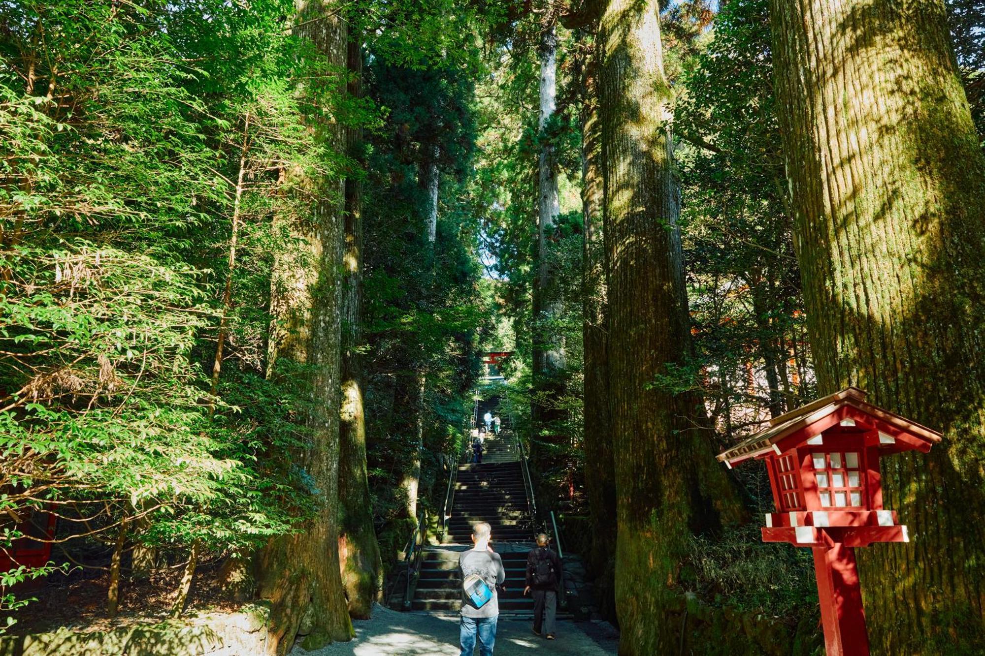 Villa Hakone Kabuto 古民家旅館 150平米 バス停迄一分 準天然温泉 最大12名 Zewnętrze zdjęcie